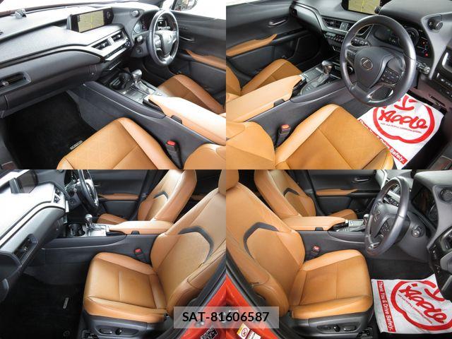 Lexus UX 2019-01 8036512-14