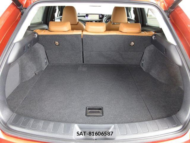 Lexus UX 2019-01 8036512-16