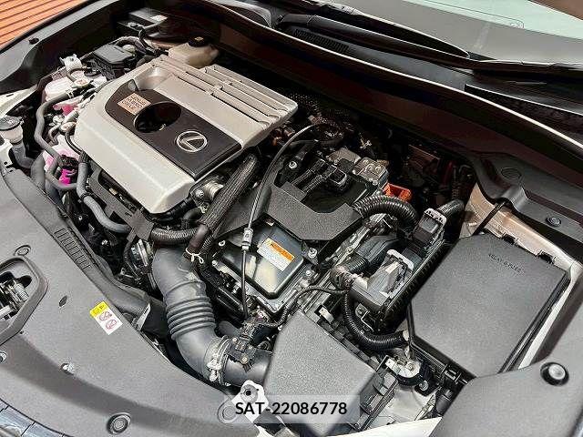 Lexus UX 2022-03 8074418-13