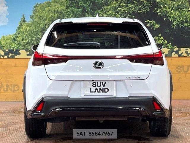 Lexus UX 2023-11 8074417-14
