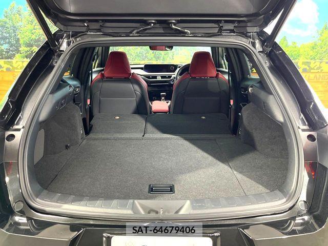 Lexus UX 2019-02 8074419-9