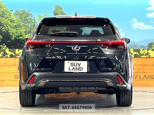 Lexus UX 2019-02 8074419-14