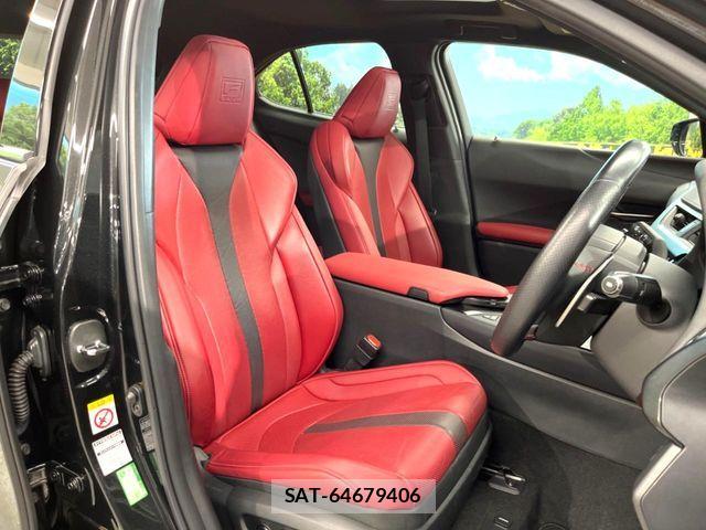Lexus UX 2019-02 8074419-7