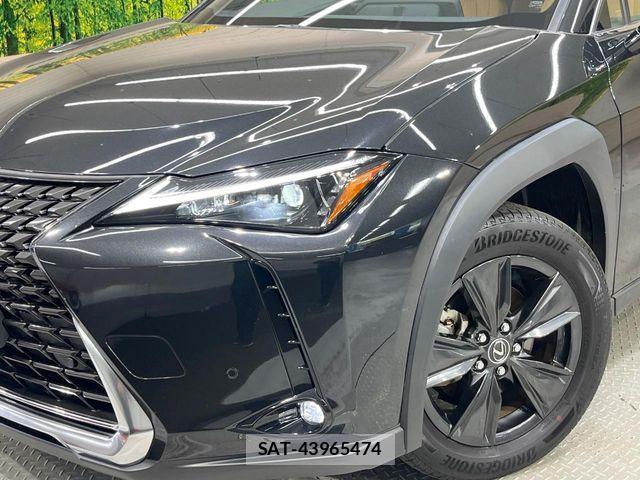 Lexus UX 2023-09 8100225-11