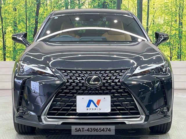 Lexus UX 2023-09 8100225-13