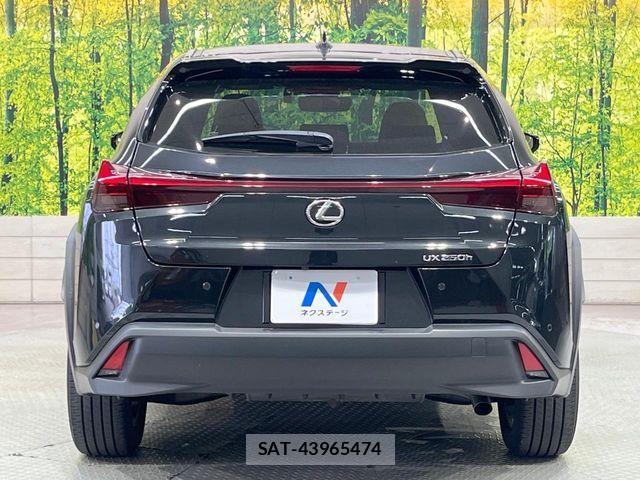 Lexus UX 2023-09 8100225-14