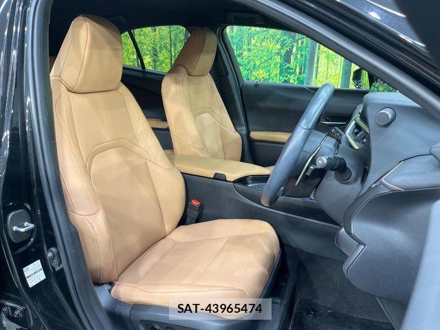 Lexus UX 2023-09 8100225-7