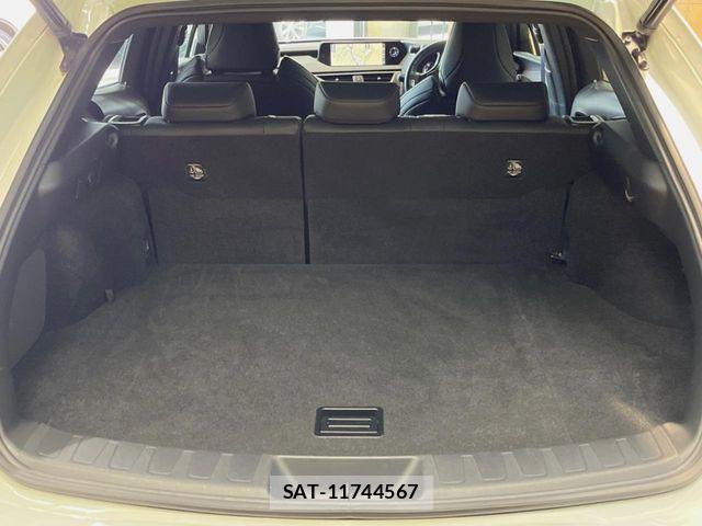 Lexus UX 2021-09 8100226-11