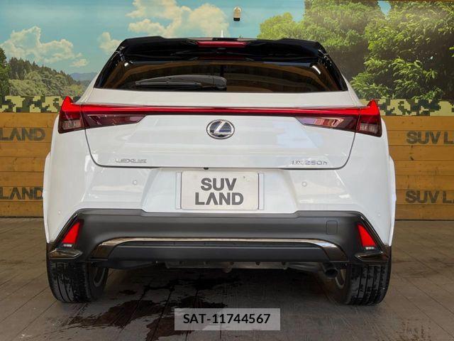 Lexus UX 2021-09 8100226-16