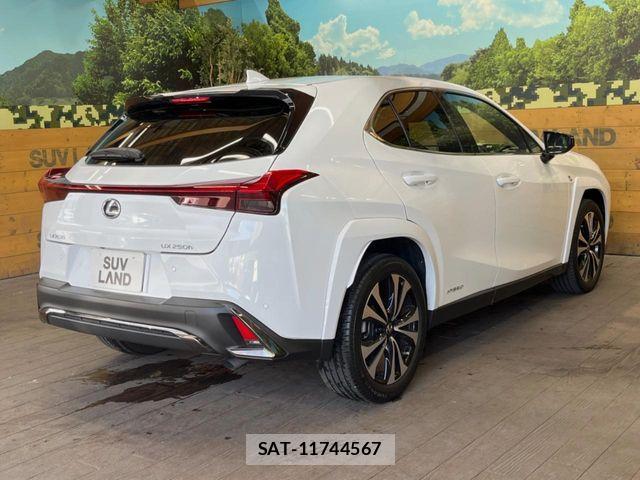 Lexus UX 2021-09 8100226-18
