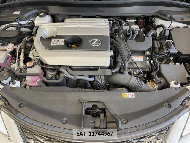 Lexus UX 2021-09 8100226-19