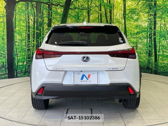 Lexus UX 2021-03 8131071-14