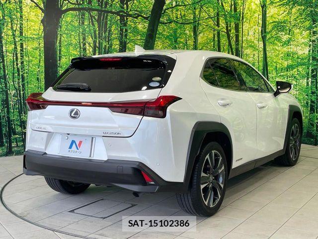 Lexus UX 2021-03 8131071-16