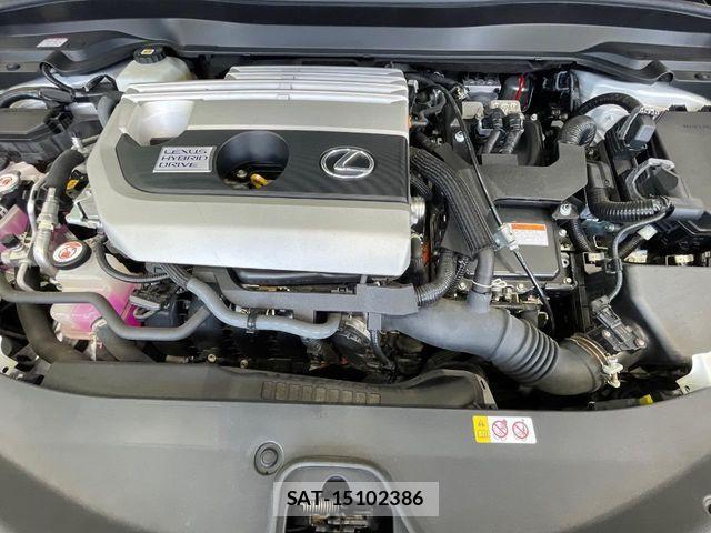 Lexus UX 2021-03 8131071-17