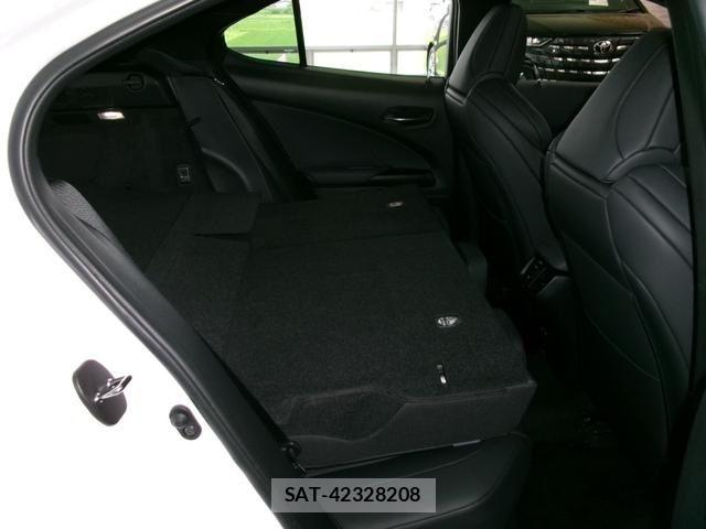 Lexus UX 2020-09 8131069-13