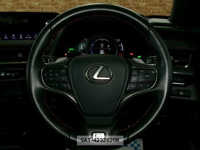 Lexus UX 2020-09 8131069-24