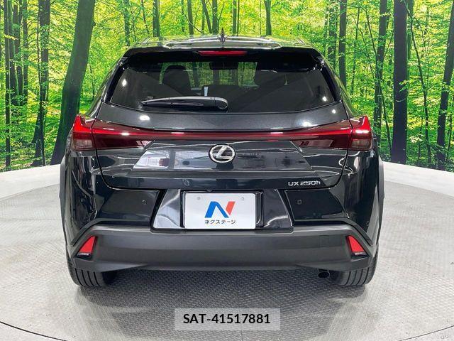 Lexus UX 2023-06 8158715-15