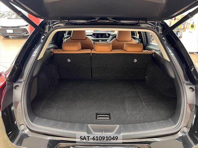 Lexus UX 2019-03 8158718-9