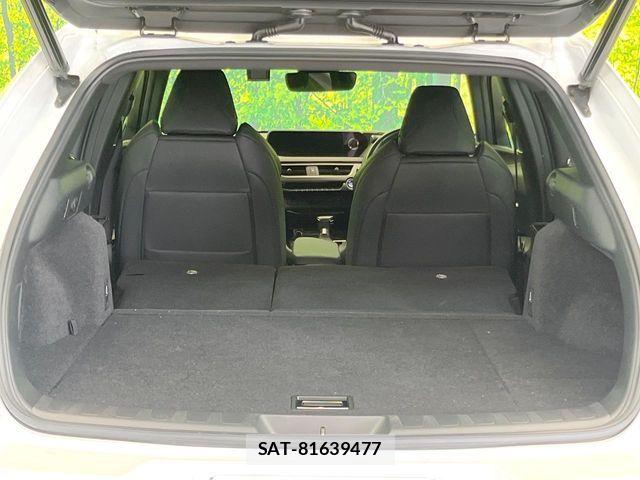 Lexus UX 2020-05 8208475-9