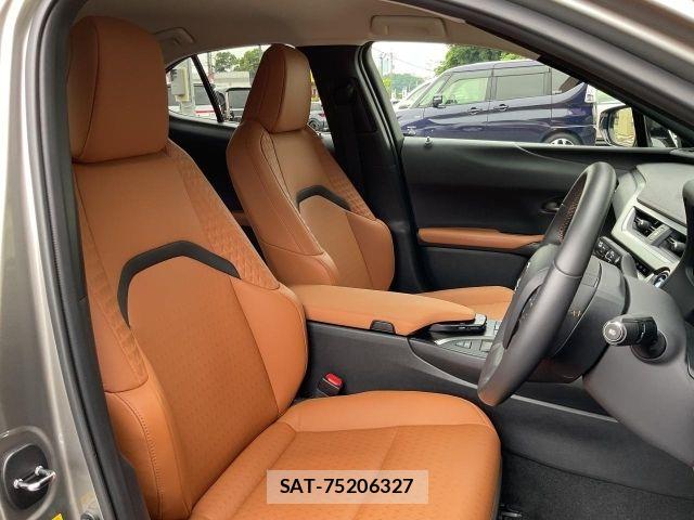 Lexus UX 2019-07 8208476-9