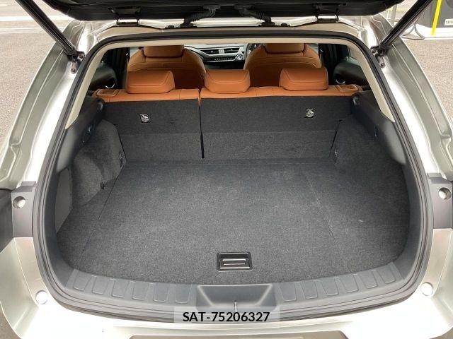 Lexus UX 2019-07 8208476-13
