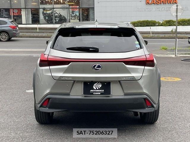 Lexus UX 2019-07 8208476-4