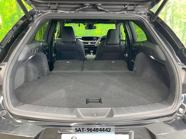 Lexus UX 2019-07 8208478-9