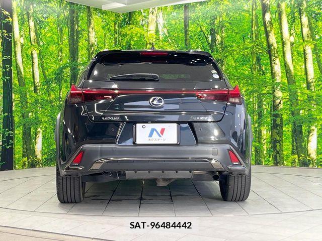 Lexus UX 2019-07 8208478-14