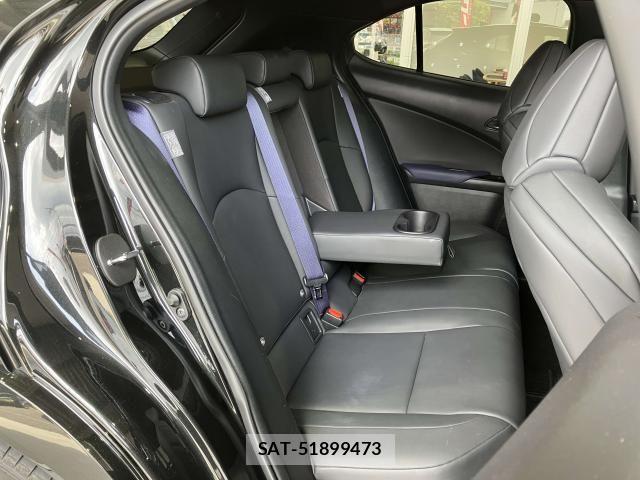 Lexus UX 2021-11 8230666-20