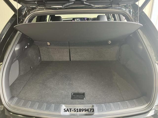 Lexus UX 2021-11 8230666-21