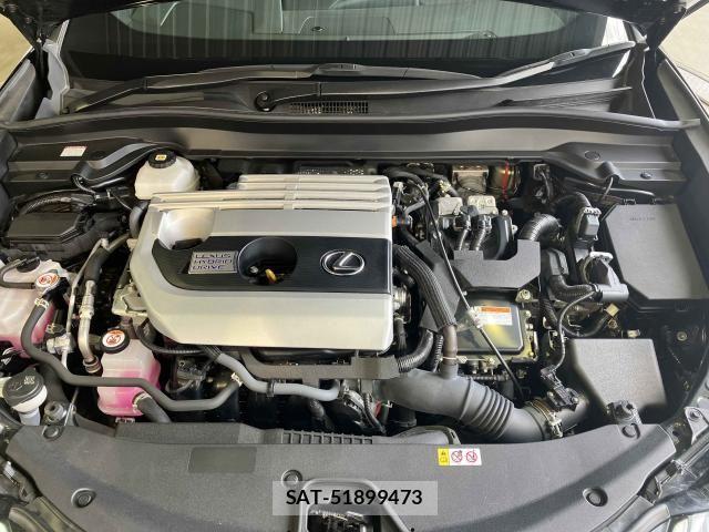 Lexus UX 2021-11 8230666-22