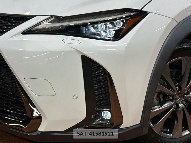 Lexus UX 2018-12 8245781-11