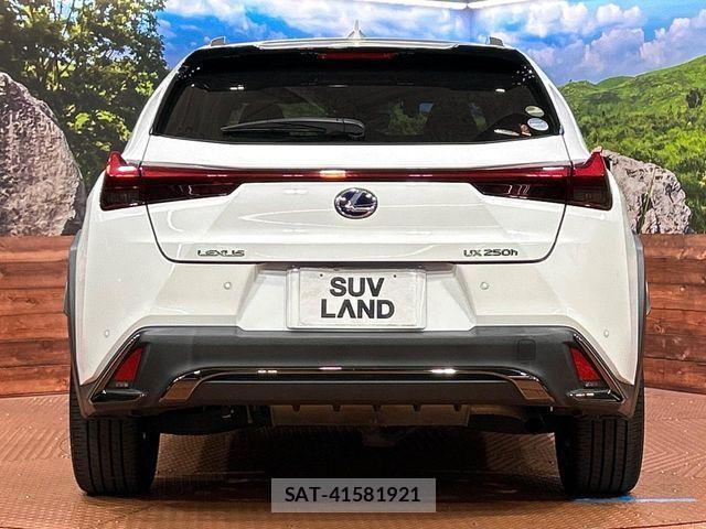 Lexus UX 2018-12 8245781-14