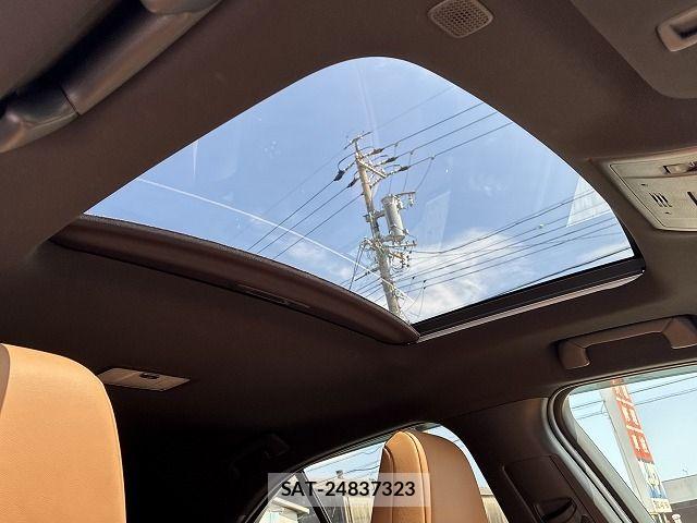 Lexus UX 2023-12 8315241-16