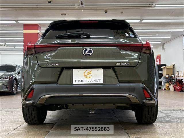 Lexus UX 2019-08 8315243-15