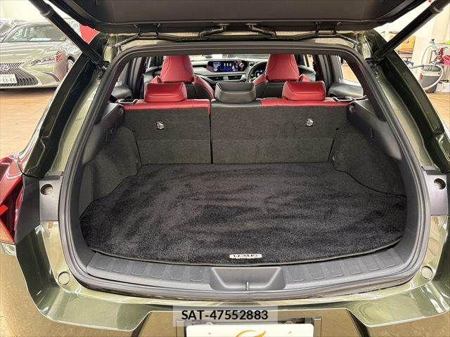 Lexus UX 2019-08 8315243-8