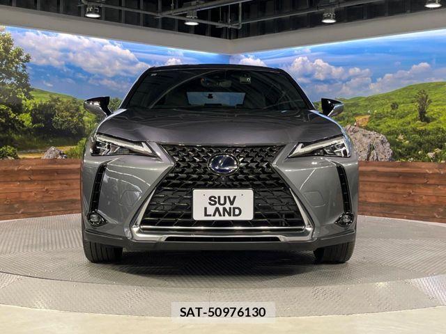 Lexus UX 2022-02 8315242-14