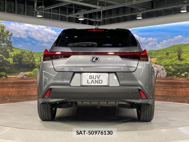 Lexus UX 2022-02 8315242-15
