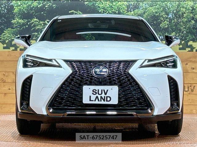 Lexus UX 2019-07 8336623-14