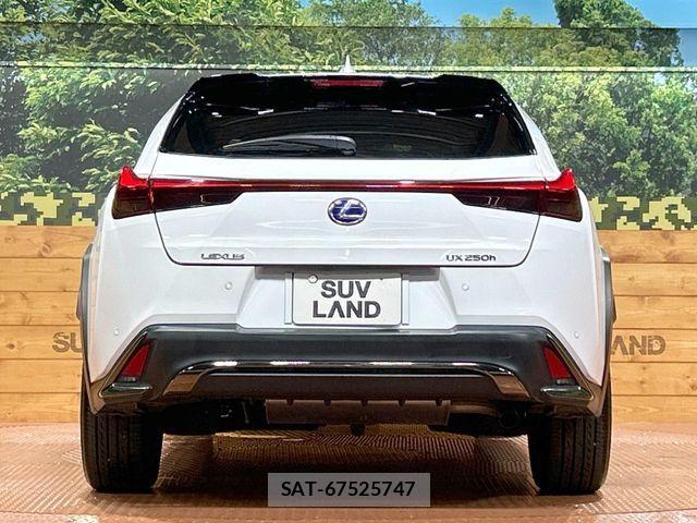 Lexus UX 2019-07 8336623-15