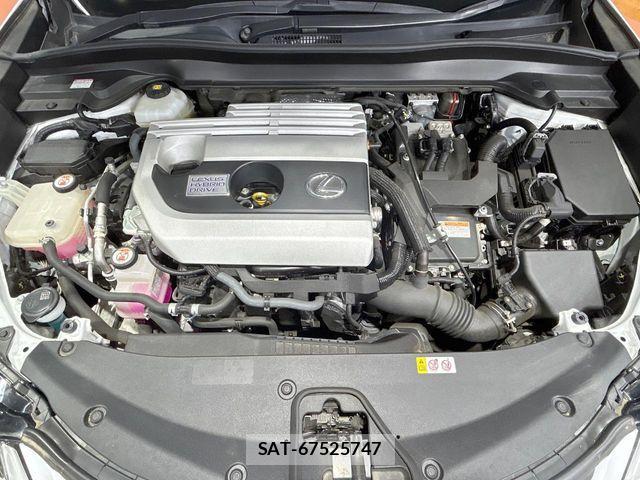 Lexus UX 2019-07 8336623-18
