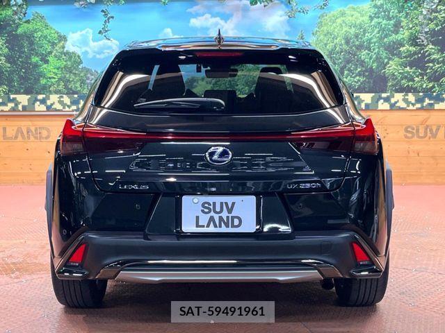 Lexus UX 2019-08 8336626-16