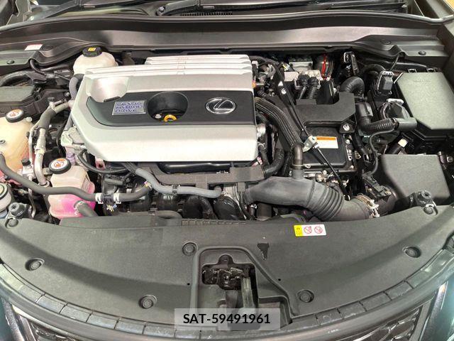 Lexus UX 2019-08 8336626-17