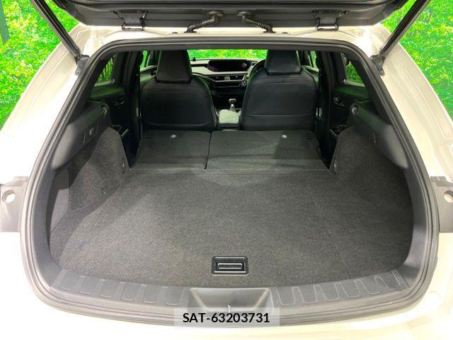 Lexus UX 2020-03 8336632-11