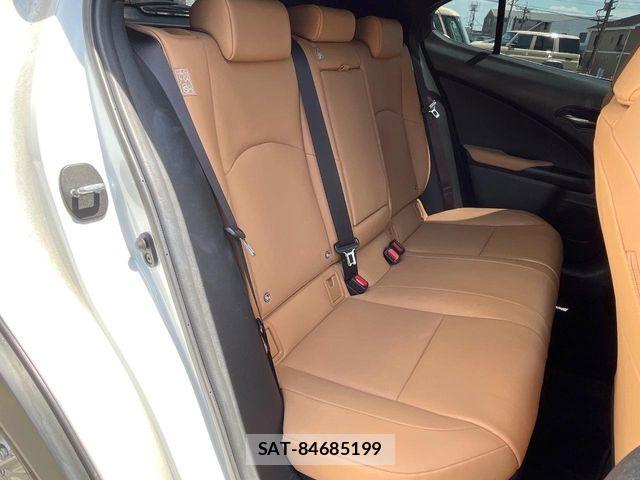 Lexus UX 2023-06 8336628-10