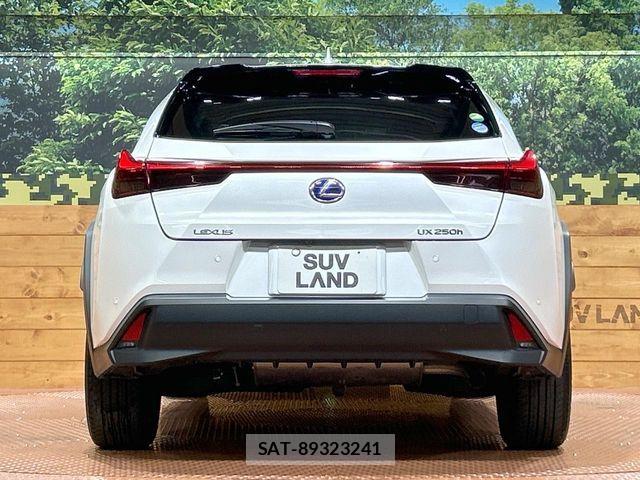 Lexus UX 2019-10 8336627-14