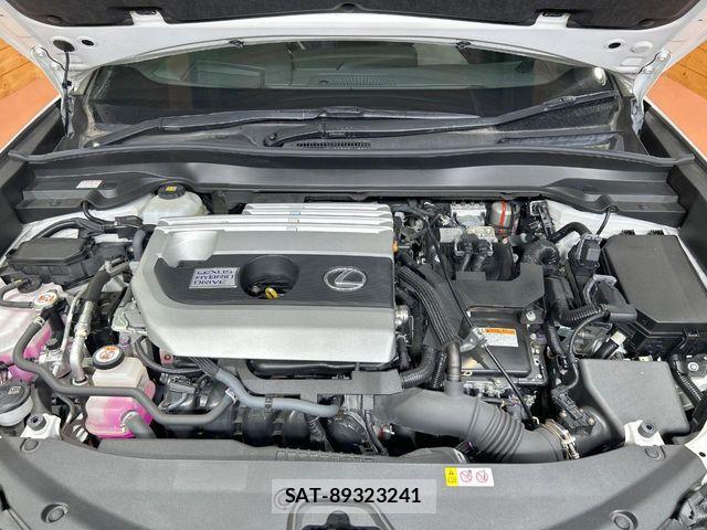 Lexus UX 2019-10 8336627-17
