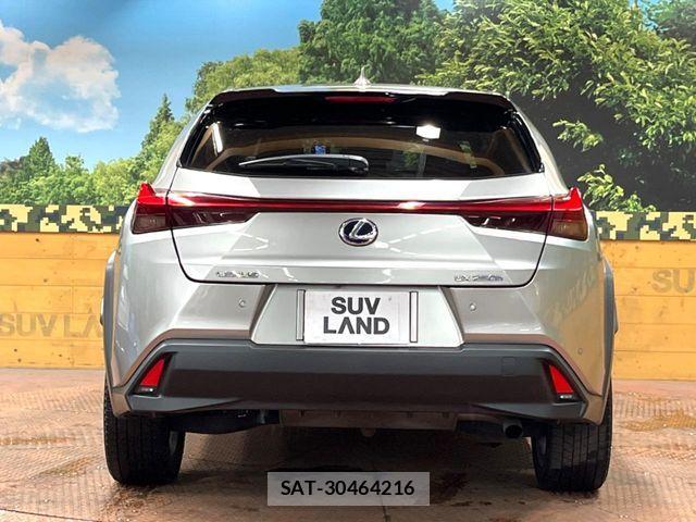 Lexus UX 2020-03 8336631-14
