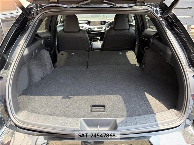Lexus UX 2021-08 8354872-20