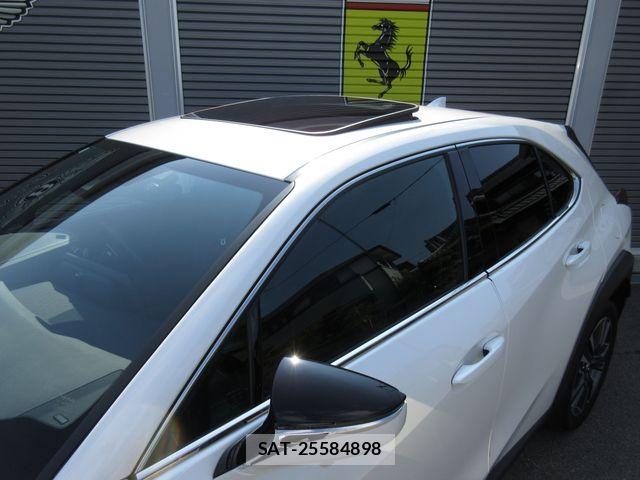 Lexus UX 2024-01 8366798-8